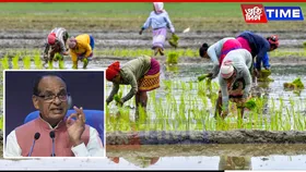 Centre Disburses ₹3,200 Crore Crop Insurance Claims to 30 Lakh Farmers Under PMFBY