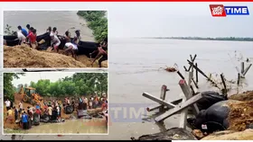 Erosion Puts Vital Border Road, BSF Camp at Risk in Assam's Hatsingimari