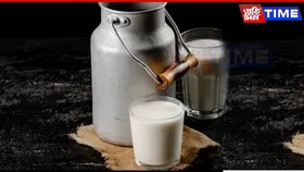 India’s Milk Production to Grow 5% Annually, Says Ind-Ra Report