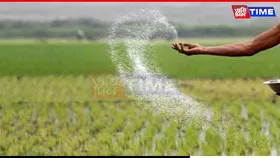 Central Govt Assures Comfortable Fertiliser Supply for Kharif Season
