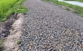 Rain Washes Away Road in Assam's Titabor, Locals Blame Substandard Construction