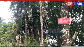 Assam Faces Alleged Encroachment Along Arunachal Border, Forests Under Threat