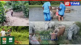Kaziranga Wildlife Rehab Centre Completes 23 Years; 9,500 Animals Rescued