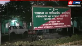 Golaghat Forest Officials Summoned Over Alleged Misconduct