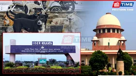 Why a Lab of IISER Kolkata is Opposing Recent SC’s Directive on Stray Dogs?