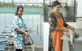 മത്സ്യമേഖലയിൽ സ്ത്രീശക്തി തെളിയിച്ച് അഖിലമോളും സംഗീതയും; സംരംഭകത്വ മികവിന് സിഎംഎഫ്ആർഐയുടെ അംഗീകാരം