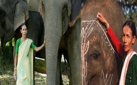 ഇന്ത്യയിലെ ആദ്യത്തെ വനിതാ ആന പാപ്പാൻ; സ്‌ത്രീകള്‍ക്ക് വഴികാട്ടിയായി മാറി  'ഹസ്‌തി കന്യ' എന്ന   67-കാരിയായ പാർബതി ബറുവ