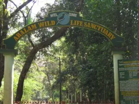 ആറളം വന്യജീവി സങ്കേതത്തെ ചിത്രശലഭ - വന്യജീവി സങ്കേതമാക്കും