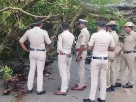 ഓടിക്കൊണ്ടിരുന്ന ബൈക്കിന് മുകളിൽ മരം വീണ് ദമ്പതികൾ മരിച്ചു