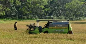 60 ടൺ നാടൻ മട്ടഅരി വിപണിയിൽ ജില്ലാ പഞ്ചായത്തിന്റെ ‘കതിർമണി’ 250 ഏക്കറിലേക്ക്