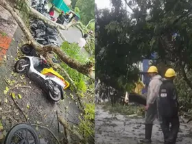 വൈക്കം റെയിൽവേ സ്റ്റേഷൻ റോഡിൽ മരം വീണ് വാഹനങ്ങൾക്ക് കേടുപാട് പറ്റി. കോട്ടയത്ത് ശക്തമായ കാറ്റിൽ വ്യാപക നാശനഷ്ടം