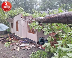 കോട്ടയത്ത് കനത്ത കാറ്റിലും മഴയിലും മരം വീണു നിരവധി വീടുകള്‍ തകര്‍ന്നു. മരം വീണു ഓടു പൊട്ടി തലയില്‍ വീണു ഒരാള്‍ക്കു പരുക്ക്. കലക്ടറേറ്റിനു സമീപം മണ്ണിടിഞ്ഞു വീട് അപകടാവസ്ഥയില്‍