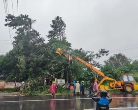 ഒലവക്കോട് ഇലക്ട്രിക്കൽ സെക്ഷൻ പരിധിയിലെ വെണ്ണക്കര, വള്ളിക്കോട്, വാർക്കാട്, പന്നിയമ്പാടം, ധോണി ഭാഗങ്ങളിൽ പൂർണമായും വൈദ്യുതി ബന്ധം പുനസ്ഥാപിക്കുന്നതിനായുള്ള പണികള്‍ പുരോഗമിക്കുന്നു