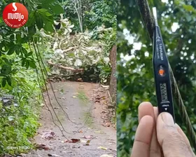 കെഎസ്ഇബി പാലായിൽ ഗുരുതര അനാസ്ഥ, ലൈൻ പൊട്ടി നിലത്ത് കിടന്നത് നാട്ടുകാർ അറിയിച്ചിട്ടും ട്രാൻസ്ഫോമർ ചാർജ് ചെയ്തു. നിലത്തുകൂടെ വൈദ്യുതി പ്രവഹിച്ചത് മൂന്നുദിവസം, ഒഴിവായത് വൻ ദുരന്തം