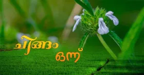 പ്രത്യാശയുടെ പൊന്നിൻ ചിങ്ങം: മലയാളികൾ സ്വപ്നം കാണുന്ന മാസം