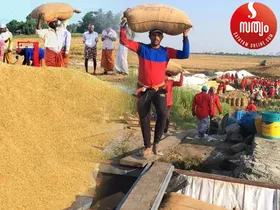 നെല്ല് സംഭരണത്തുക സംസ്ഥാന സര്‍ക്കാര്‍ കൂട്ടിനല്‍കാതെ കര്‍ഷകരെ പ്രതിസന്ധിയിലാക്കുന്നു. അടുത്ത സീസണിലെങ്കിലും സംസ്ഥാന വിഹിതം കൂട്ടണം. എല്ലാം കേന്ദ്രത്തിനുമേല്‍ പഴിചാരി സംസ്ഥാന സര്‍ക്കാര്‍ കൈയ്യൊഴിയുന്നു വെന്ന് കർഷകർ