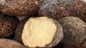 ശരീരഭാരം നിയന്ത്രിക്കാന്‍ ചേന