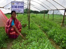 Ambuja Cements Support Women Farmers Agri Business Journey