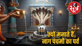 नाग पंचमी 2025 : क्यों है नाग पंचमी के दिन नागों को दूध चढ़ाने की परंपरा, जानें महत्व और पूजा विधि