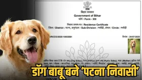 बिहार में अजीबोगरीब घटना : कुत्ते को मिला निवास प्रमाण पत्र, सोशल मीडिया पर वायरल सर्टिफिकेट