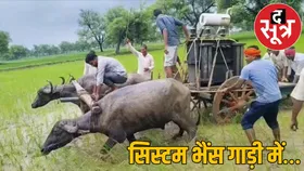 बिजली विभाग की भैंसगाड़ी व्यवस्था बनी ग्रामीणों के लिए सिरदर्द,महीनेभर से अंधेरे में जी रहे लोग