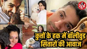 सुप्रीम कोर्ट का आदेश: आवारा कुत्तों को पकड़ने की योजना, बॉलीवुड सितारों ने उठाए गंभीर सवाल