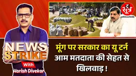 News Strike: तिगुना कीटनाशक डालकर मप्र में पकी मूंग ? खरीदने पर क्यों मजबूर प्रदेश सरकार ?