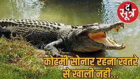क्रोकोडायल पार्क... तालाबों से निकलकर घर में घुस रहे मगरमच्छ