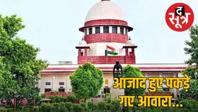 सुप्रीम कोर्ट का अहम फैसला,वैक्सीनेशन के बाद छोडे़ जाएंगे आवारा कुत्ते, सार्वजनिक स्थानों पर खाना देने पर रोक