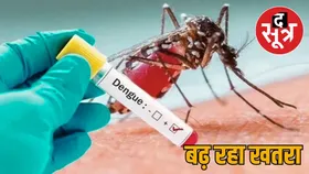 राजस्थान में डेंगू के मामलों में हो रही बढ़ोतरी : 11 दिन में 22 प्रतिशत का इजाफा
