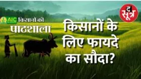 AIC से कराएं पशुधन बीमा, आदिवासी किसानों के लिए बड़े फायदे