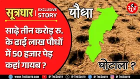 CG News | शराब, कोयला और सट‍्टा एप के बाद अब छत्तीसगढ़ में पौधा घोटाला ?