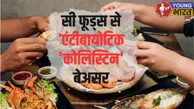 समुद्री खाने से फैल रहा है जरूरी एंटीबायोटिक 'कोलिस्टिन' के प्रति प्रतिरोध