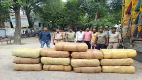 Crime News : अवैध मादक पदार्थों की तस्करी करने वाले तीन तस्कर गिरफ्तार, 96 लाख का गांजा बरामद