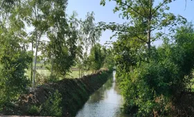 Save the river campaign proved fruitful: प्यासी भद्रशीला इठलाई- अविरल सदानीरा बनाने कोई भागीरथ तो आया...