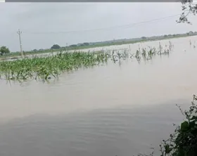 Shahjahanpur News:  बढ़ रहा है नदियों का जलस्तर बाढ़ की आशंका