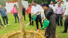 ग्रीन कॉरिडोर की राह में आ रहे 15 साल पुराने पेड़ होंगे प्रत्यारोपित, 21 पेड़ों को रिवर फ्रंट में मिला नया जीवन