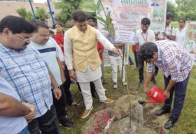 नगर निगम ने एक पेड़ मां के नाम थीम पर दस हजार पौधे लगवाए