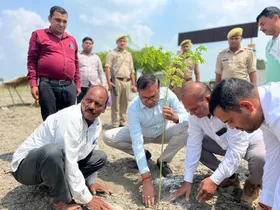 पर्यावरण संरक्षणः  ड्रीम प्रोजेक्ट सहजन वन का डीएम ने किया निरीक्षण, रोपे पौधे