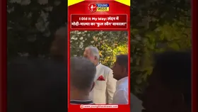 I Did It My Way: लंदन में मोदी-माल्या का 'फुल स्वैग' वायरल!