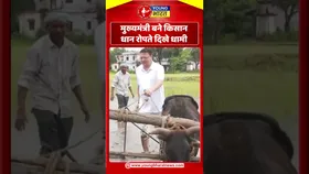 मुख्यमंत्री बने किसान, धान रोपते दिखे धामी | YOUNG Bharat News