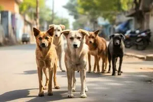 pack-of-stray-stray-dogs-on-a-city-street-problem-of-abandoned-stray-animals-ai-generative-photo