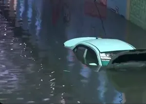 fd