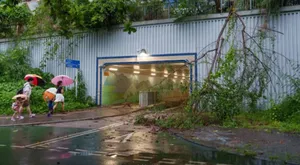 typhoon honkong