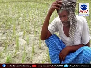 farmers