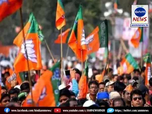 bjp02