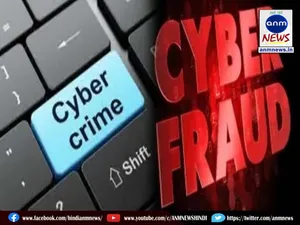 cyber crime