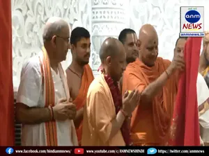 yogi
