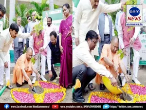 yogi planted