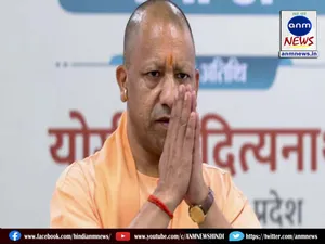 yogi birthday